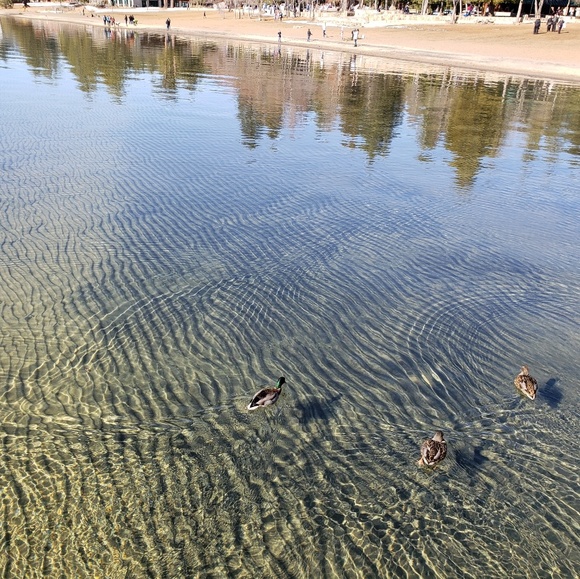 Meet your Posher, Jen - Picture 1 of 1